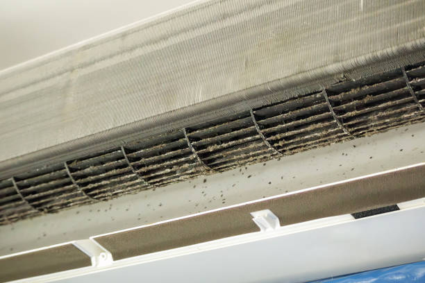 Best Air Vent Cleaning Services  in USA